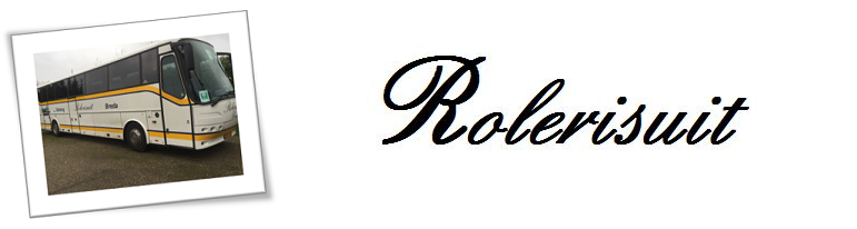 Stichting Rolerisuit